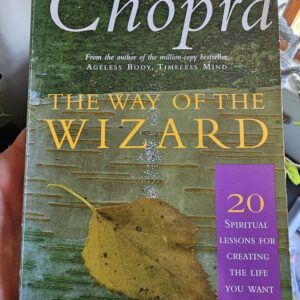 The Way Of The Wizard Book
