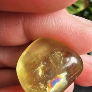 Yellow Apatite Gemstone