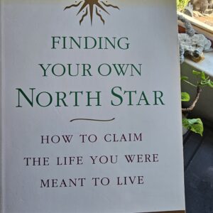 Finding Your Own North Star Book
