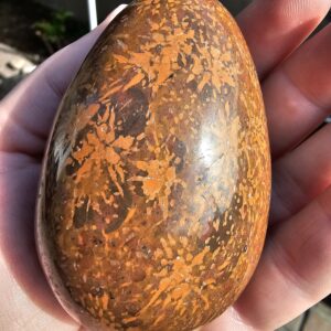 Starburst Jasper Gemstone Egg