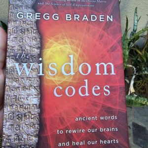 The Wisdom Codes Book