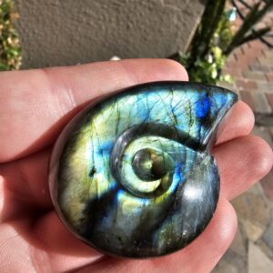 Labradorite Gemstone Ammonite
