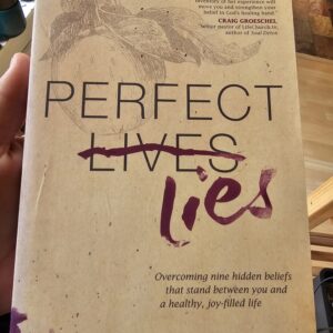 Perfect Lies Book