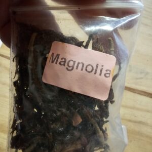 Apothecary- Magnolia