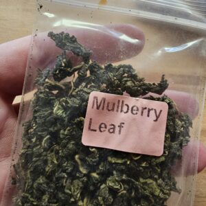 Apothecary- Mulberry Leaf