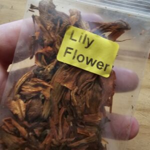 Apothecary- Lily Flower