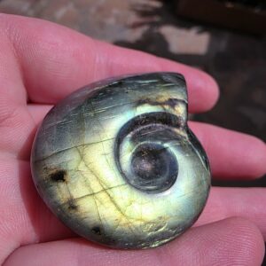 Labradorite Gemstone Ammonite