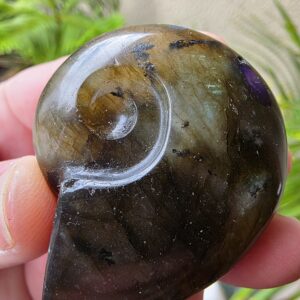 Labradorite Gemstone Ammonite