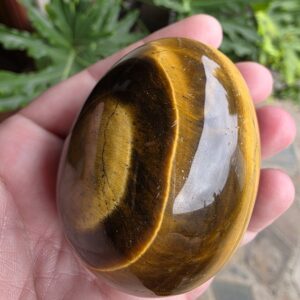 Tigers Eye Gemstone Egg