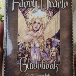 Wild Wisdom Of The Faery Oracle Book
