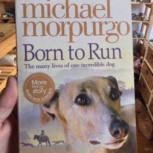 Born To Run Book