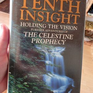 The Tenth Insight Book