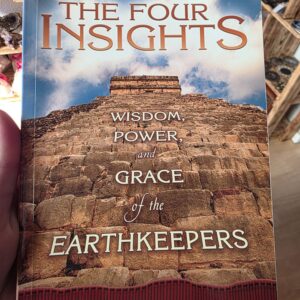The Four Insights Book