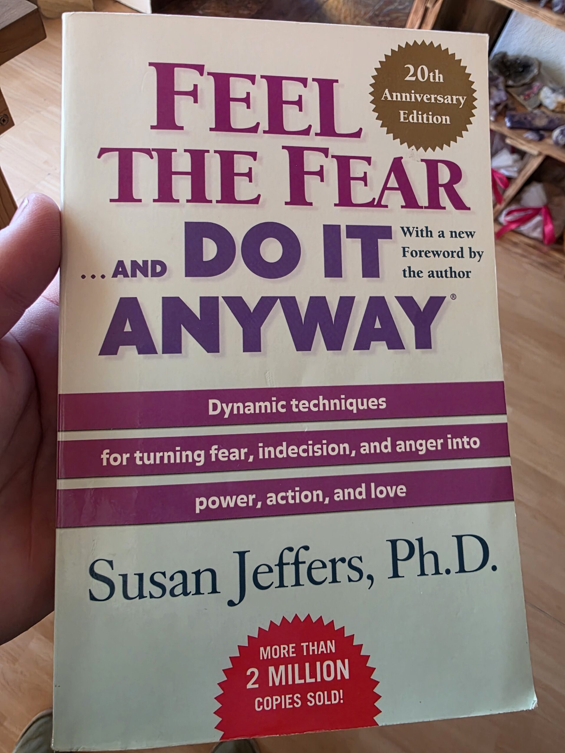 Feel The Fear And Do It Anyway Book - Glam Fairy