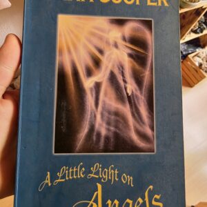 A Little Light on Angels Book