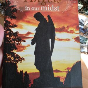 Angels In Our Midst Book