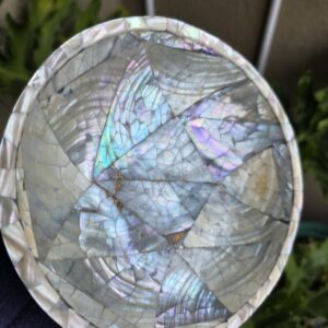 Abalone Shell Wooden Bowl