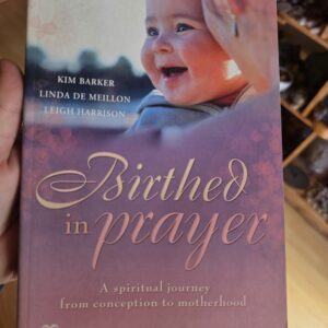 Birthed In Prayer Book- Kim Barker
