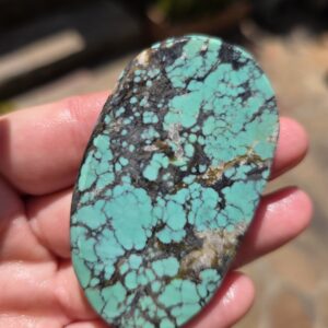 Spiderweb Turquoise Gemstone