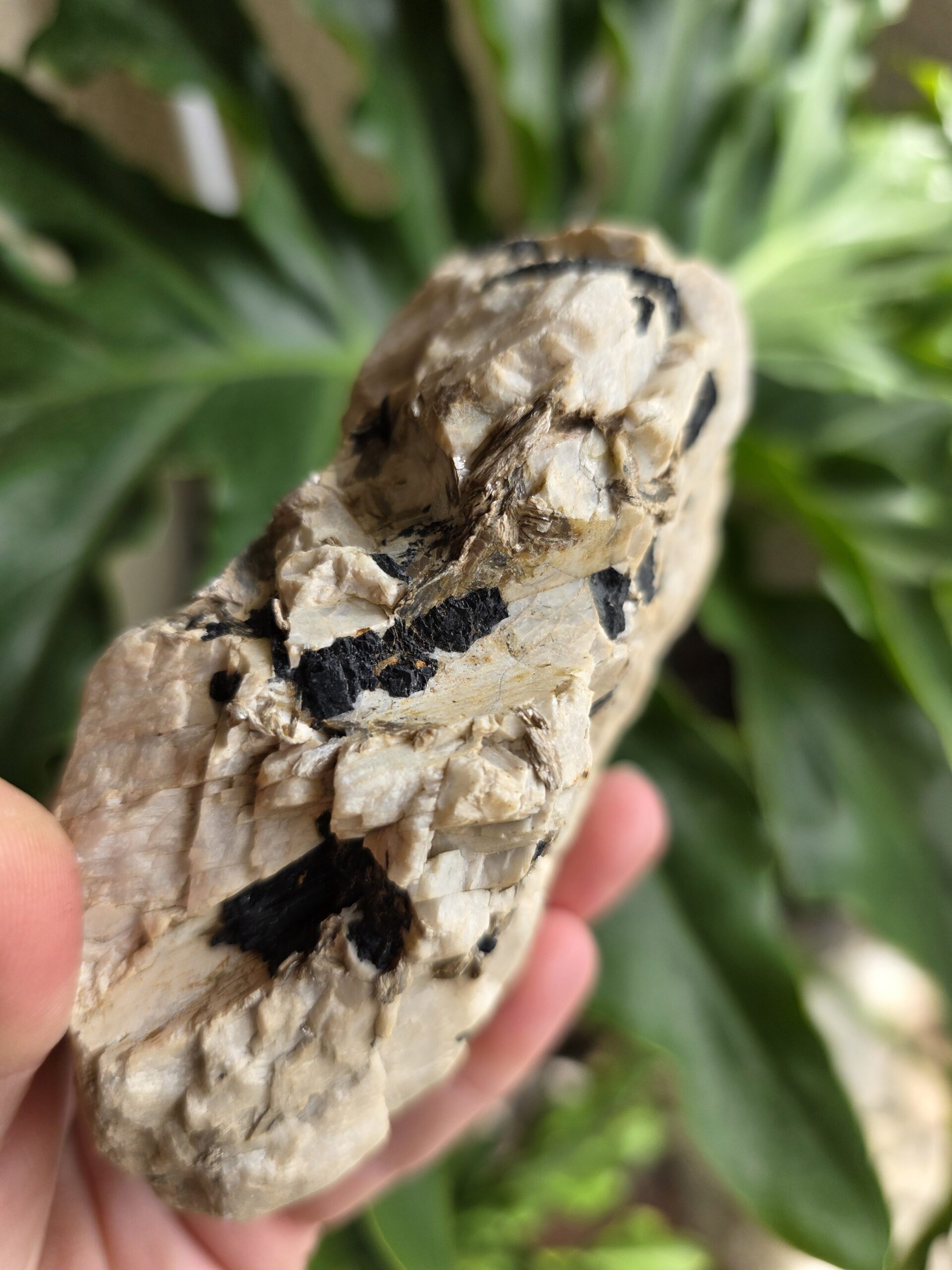 Black Tourmaline In Orthoclase with Mica Gemstone