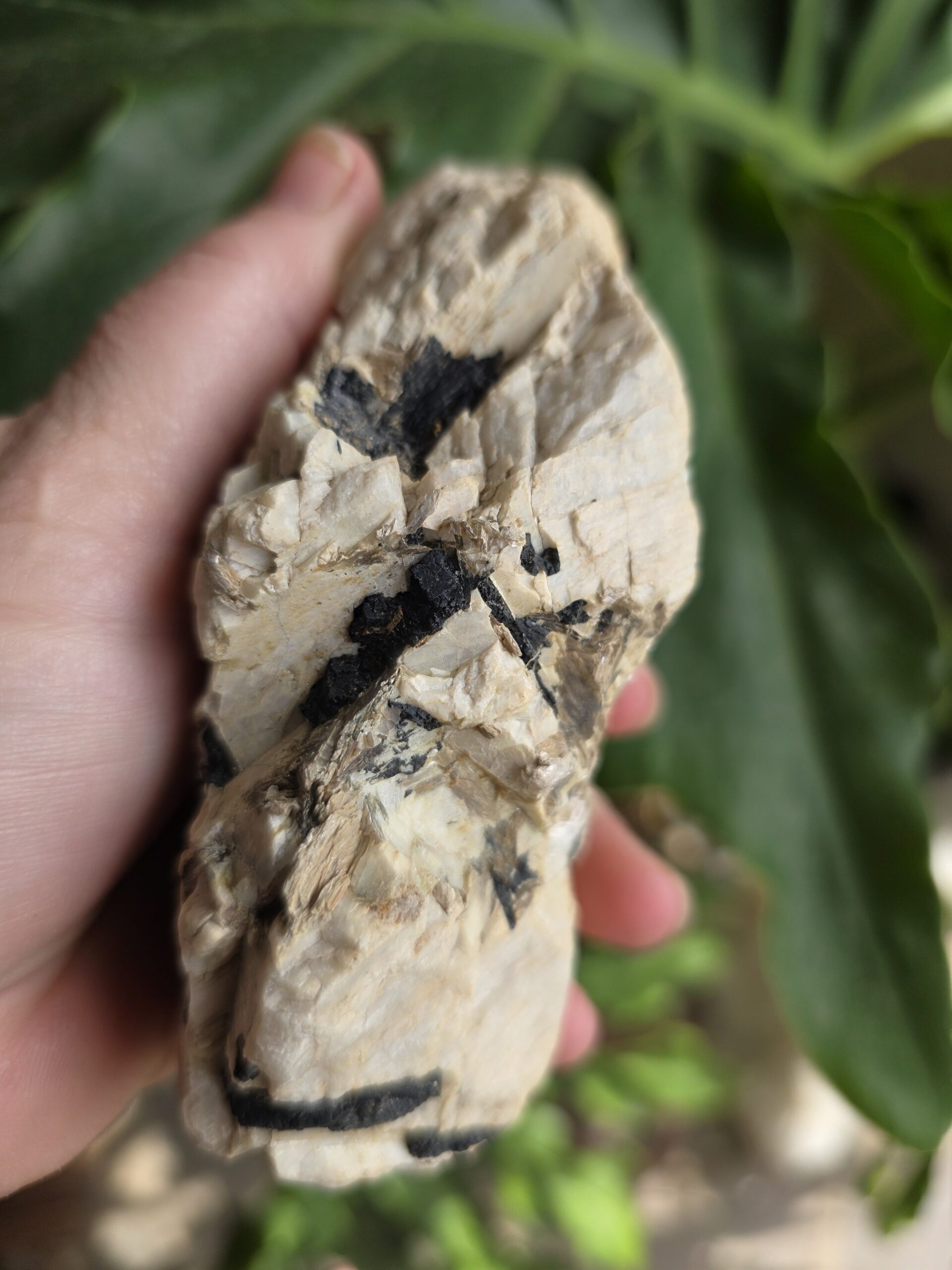Black Tourmaline In Orthoclase with Mica Gemstone - Image 6
