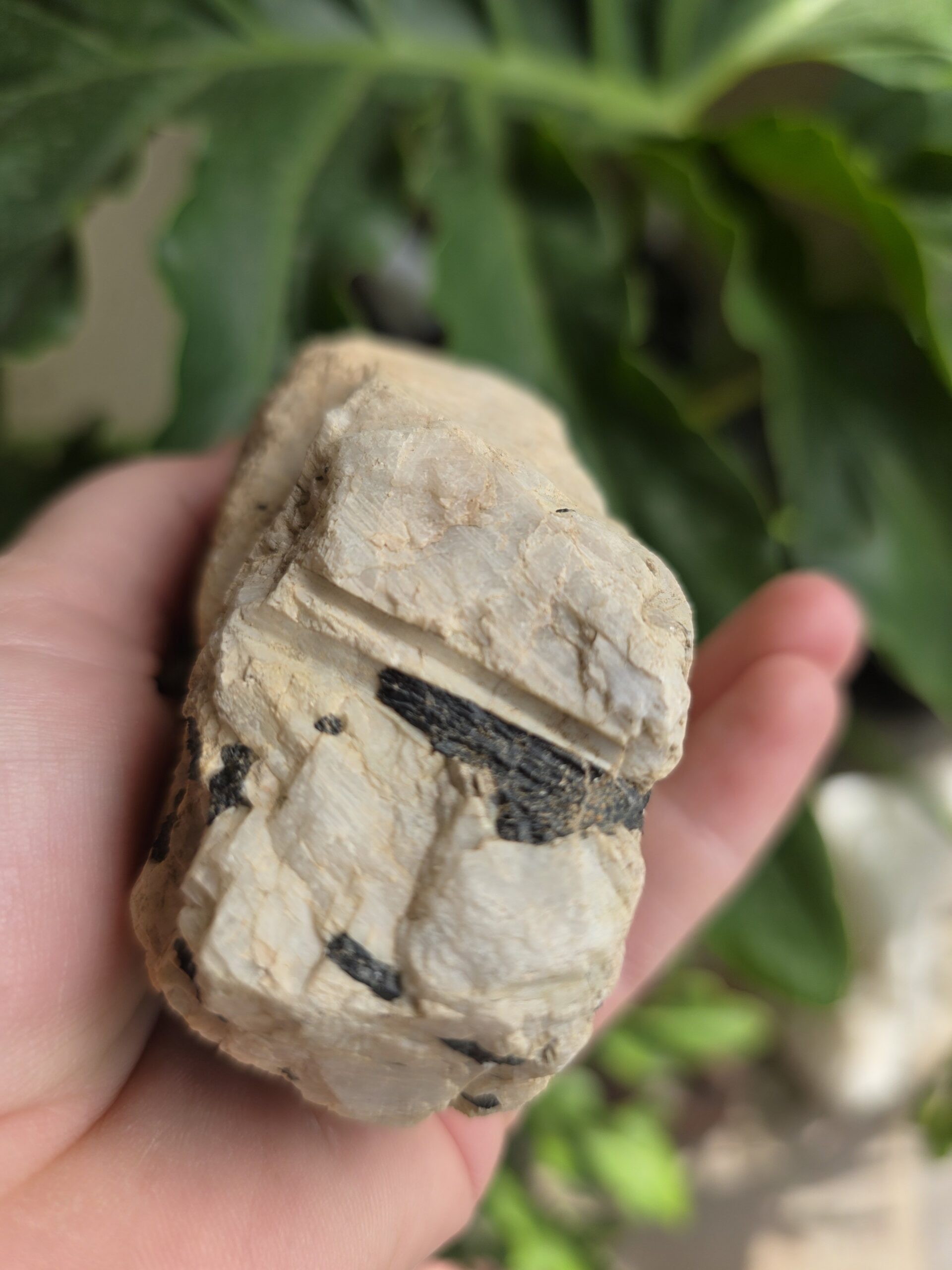 Black Tourmaline In Orthoclase with Mica Gemstone - Image 3