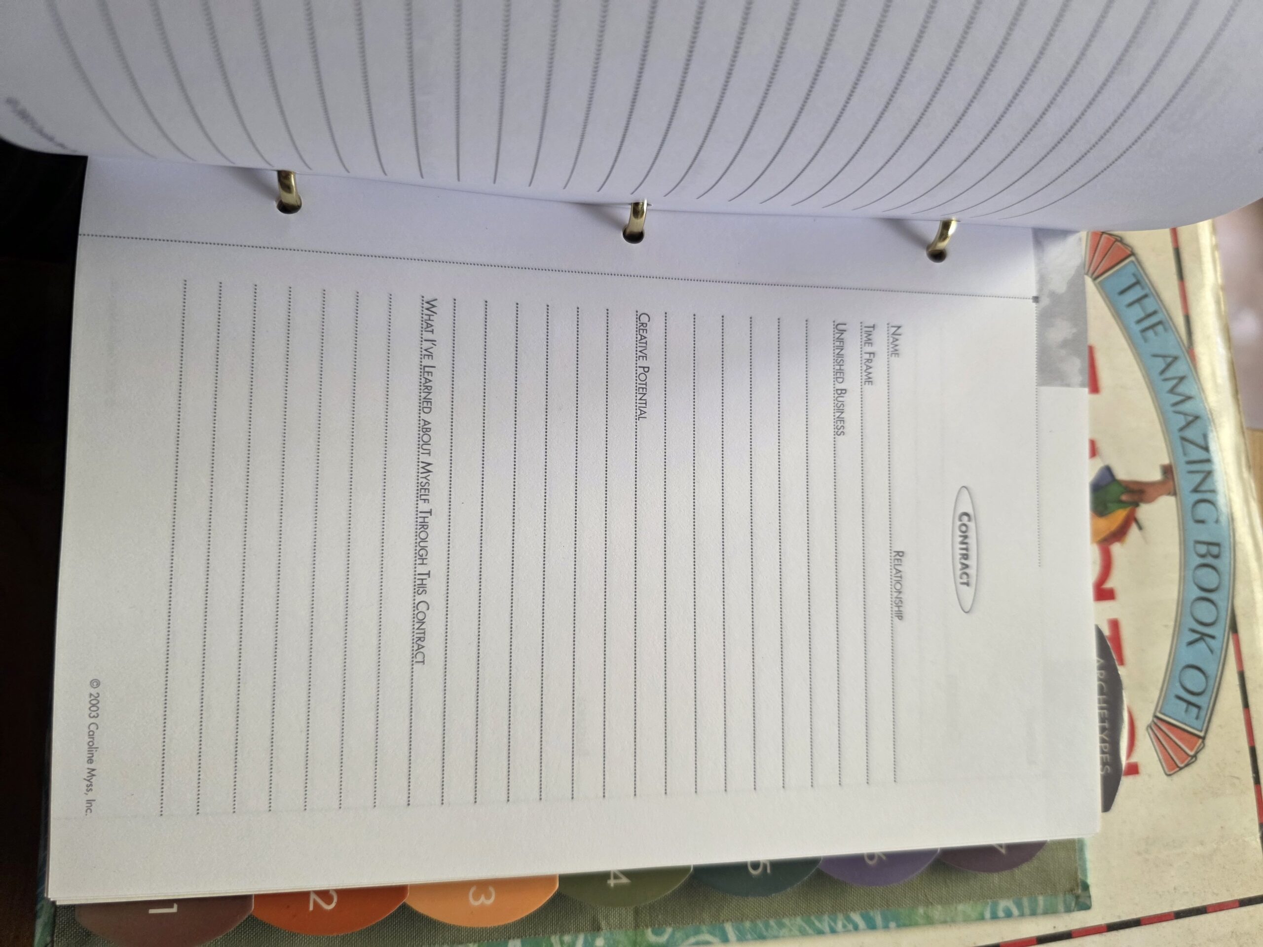 Journal Of Inner Dialogue- Caroline Myss - Image 3