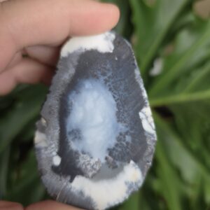 Dendritic Orca Agate Gemstone Flatstone